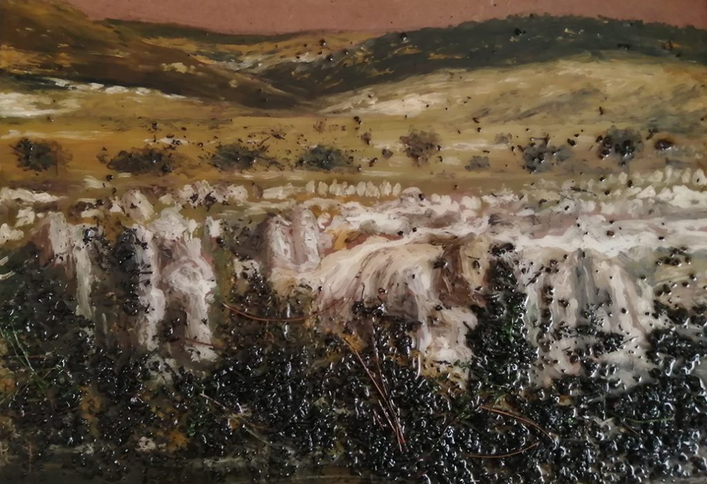 Oğulcan Öz (2)